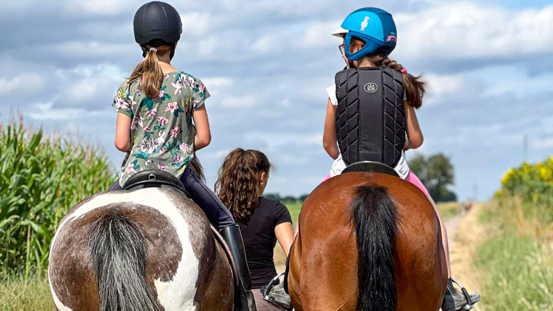 Spaziergang mit Pferd Insheim