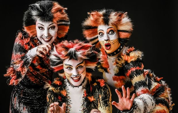 Musical Dinner Paderborn