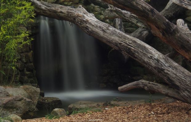 Fotokurs Allwetter-Zoo Münster