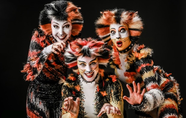 Musical Dinner Starnberg