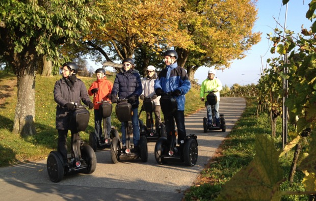 Segway-Tour Fellbacher Weinberge