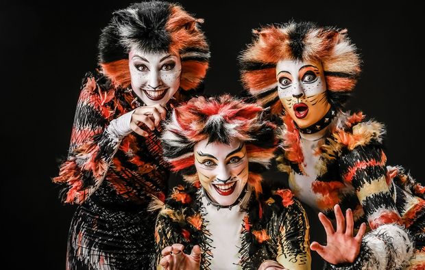 Musical Dinner Straußberg