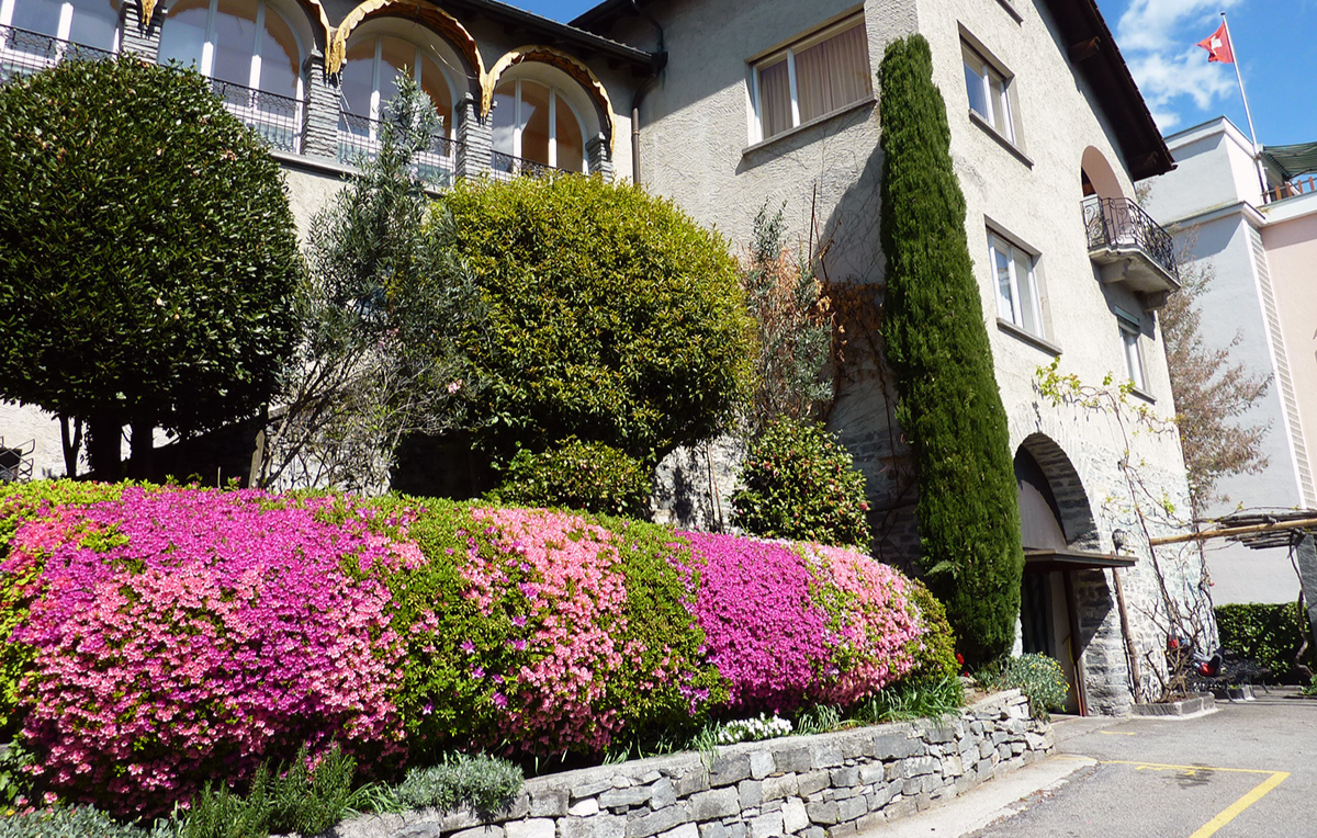 2 Tage (1 Übernachtung) 2 Gourmet Urlaub in Ascona für 2 (1 Nacht) 2 Tage (1 Übernachtung) 2 Gourmet Urlaub in Ascona für 2 (1 Nacht)