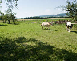 2 Tage (1 Übernachtung) 2 Zauberhafte Unterkünfte Frauenhofen für 2 (1 Nacht) 2 Tage (1 Übernachtung) 2 Zauberhafte Unterkünfte Frauenhofen für 2 (1 Nacht)