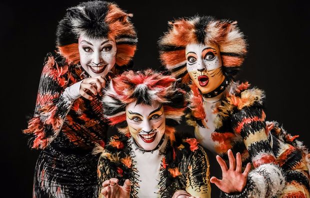 Musical Dinner Stralsund