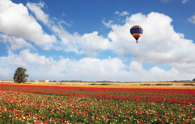 Ballonfahrt Eschenbach Baden-Württember...