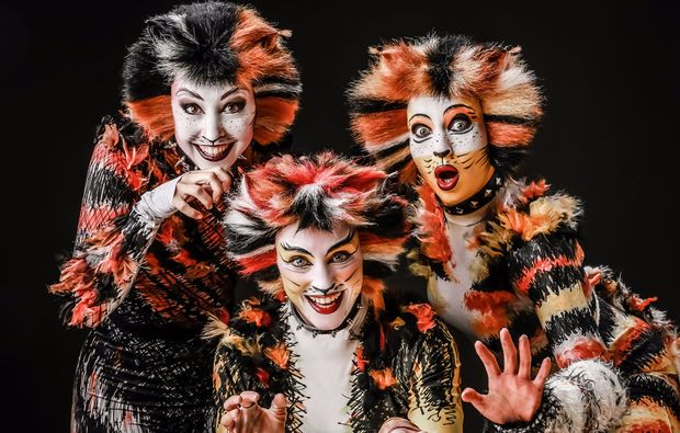 Musical Dinner Wiesenthau