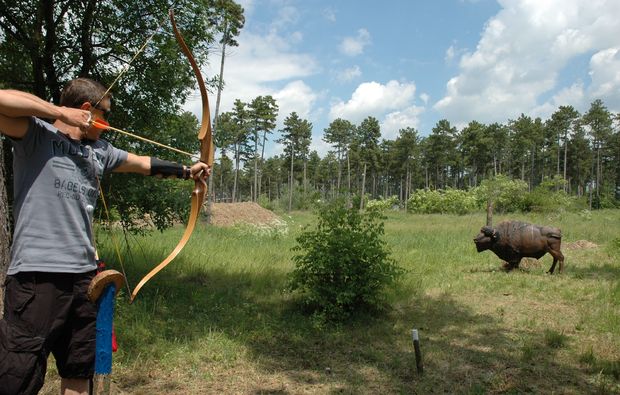 3D Bogenschießen und Waldklettergarten Gänserndorf
