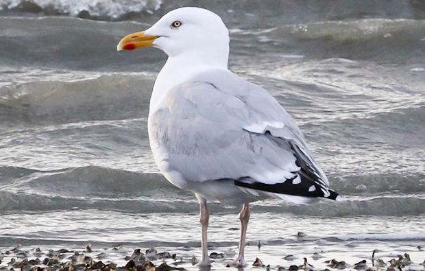 Fotokurs Fortgeschrittene Wuppertal 