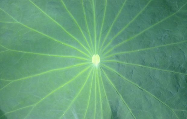 Feng Shui Workshop Berlin 