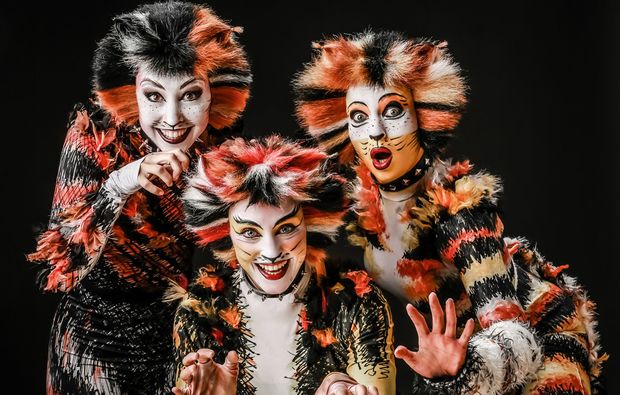 Musical Dinner Bad Tölz Musical Dinner Bad Tölz