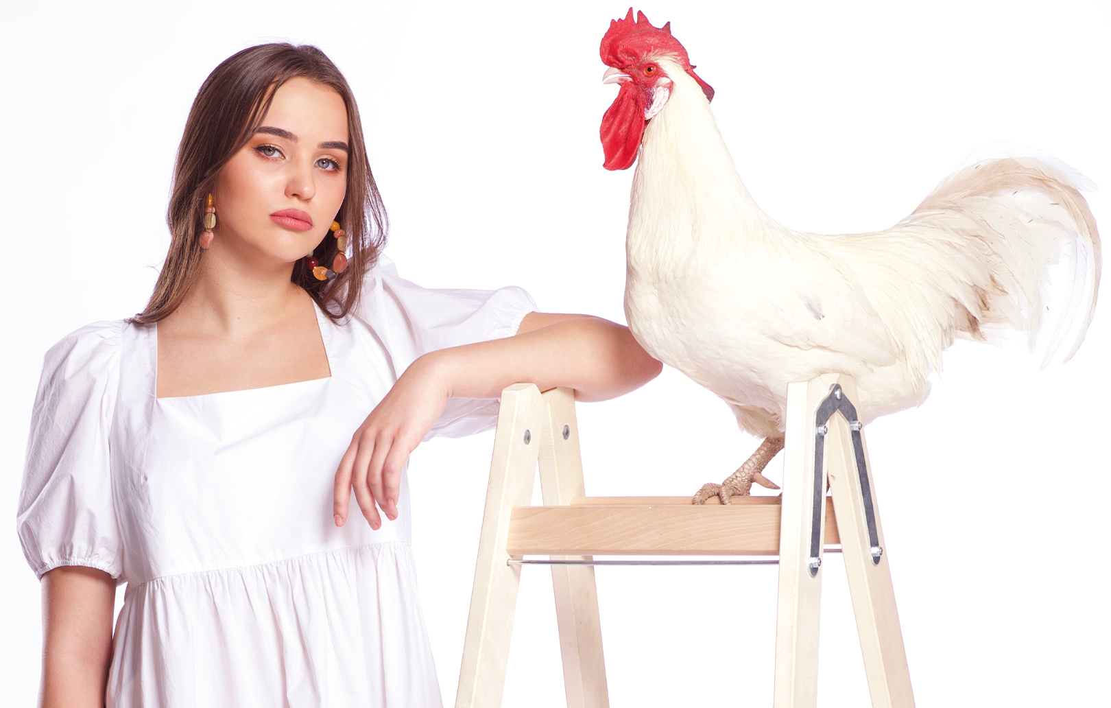 Tier Fotoshooting Dresden -  in Ca. 1 Stunde (ca. 30 Min. Fotoshooting mit anschließender Bildauswahl)