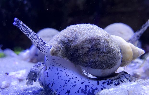 Fotokurs Zoo Wuppertal 