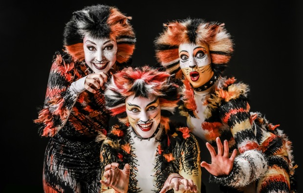 Musical Dinner Wesel