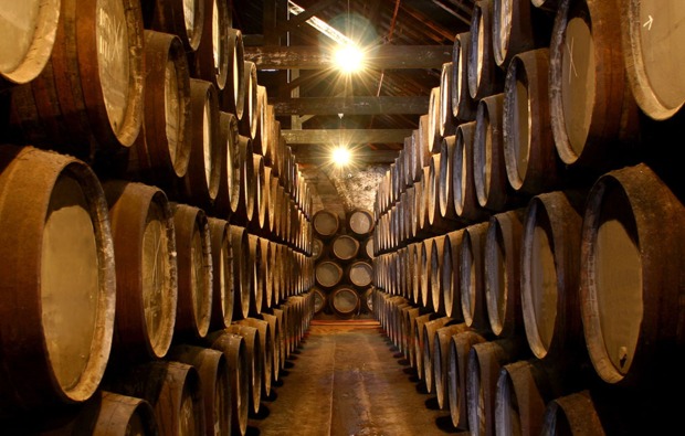 Whisky Käse Tasting München - Jetzt erleben!