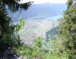 Quad mieten in Interlaken (Tour Beatenberg) in Matten bei Interlaken Quad mieten in Interlaken (Tour Beatenberg) in Matten bei Interlaken