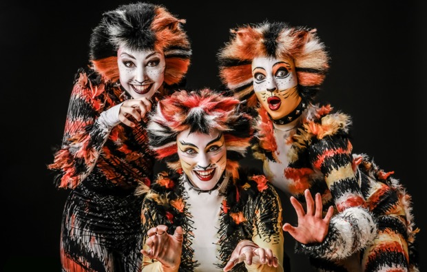 Musical Dinner Münster