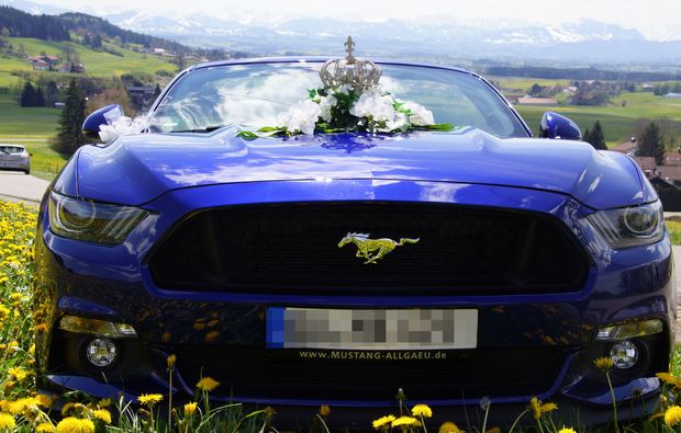 Mustang GT Cabrio fahren 1 Tag (Fr.-So.) Hagen