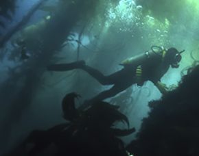 Tauchschnupperkurs im See in München