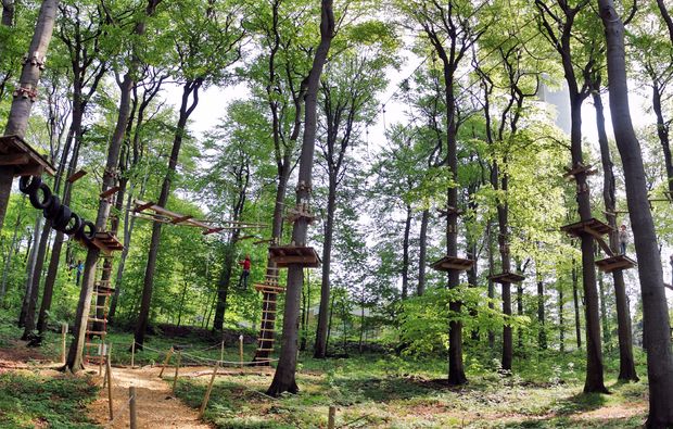 Kletterparcours im Waldseilgarten Schotten
