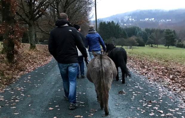 Esel Trekking Birstein Esel Trekking Birstein