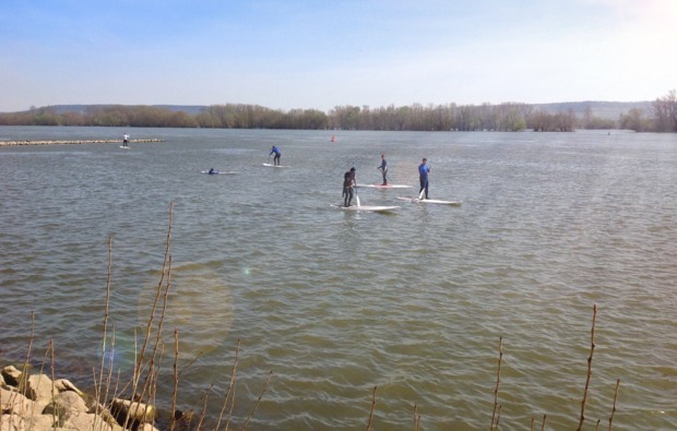 Stand Up Paddling Geisenheim Foto 2