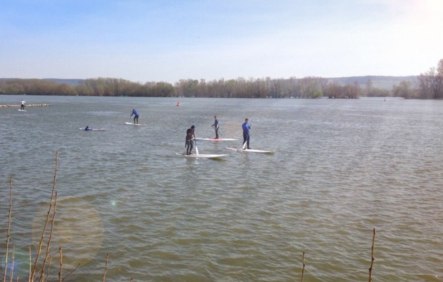 SUP Tour Geisenheim