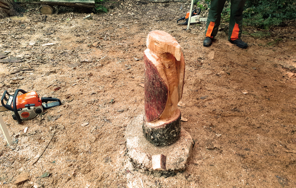 Bildhauer-Workshop  Schnitzen mit der Kettensäge Westerstede