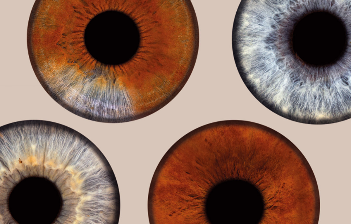 Iris Fotoshooting Aachen -  in Ca. 5 Minuten (Gesamtdauer: ca. 15 Minuten)