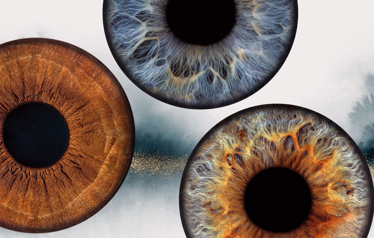 Iris Fotoshooting Mühlheim an der Ruhr -  in Ca. 5 Minuten (Gesamtdauer: ca. 15 Minuten)