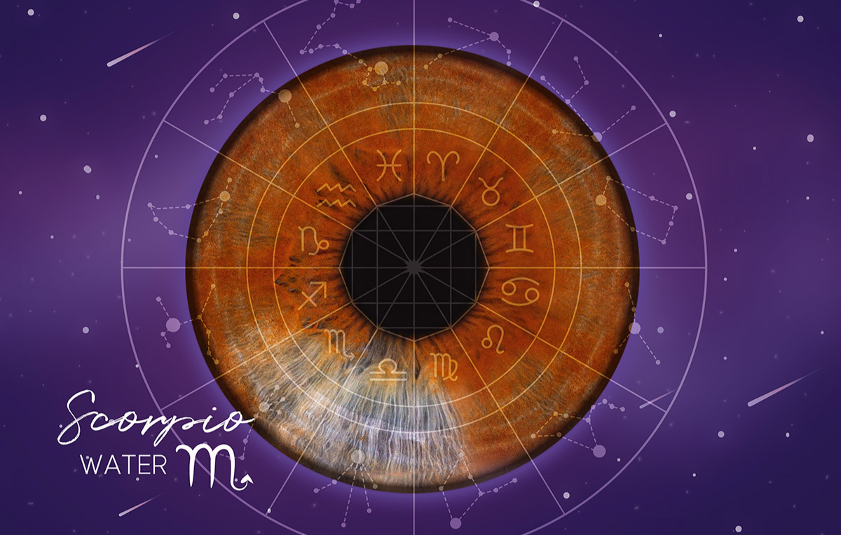 Iris Fotoshooting Berlin -  in Ca. 5 Minuten (Gesamtdauer: ca. 15 Minuten)