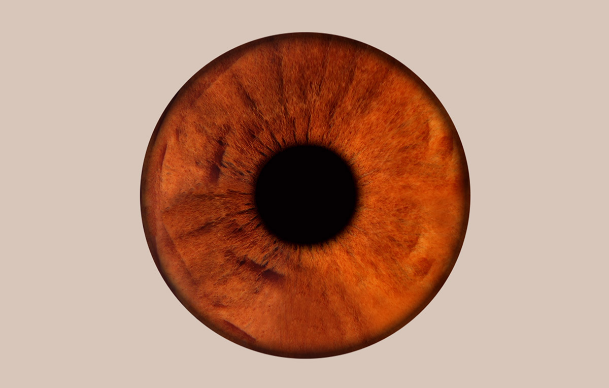 Iris Fotoshooting Bielefeld -  in Ca. 5 Minuten (Gesamtdauer: ca. 15 Minuten)