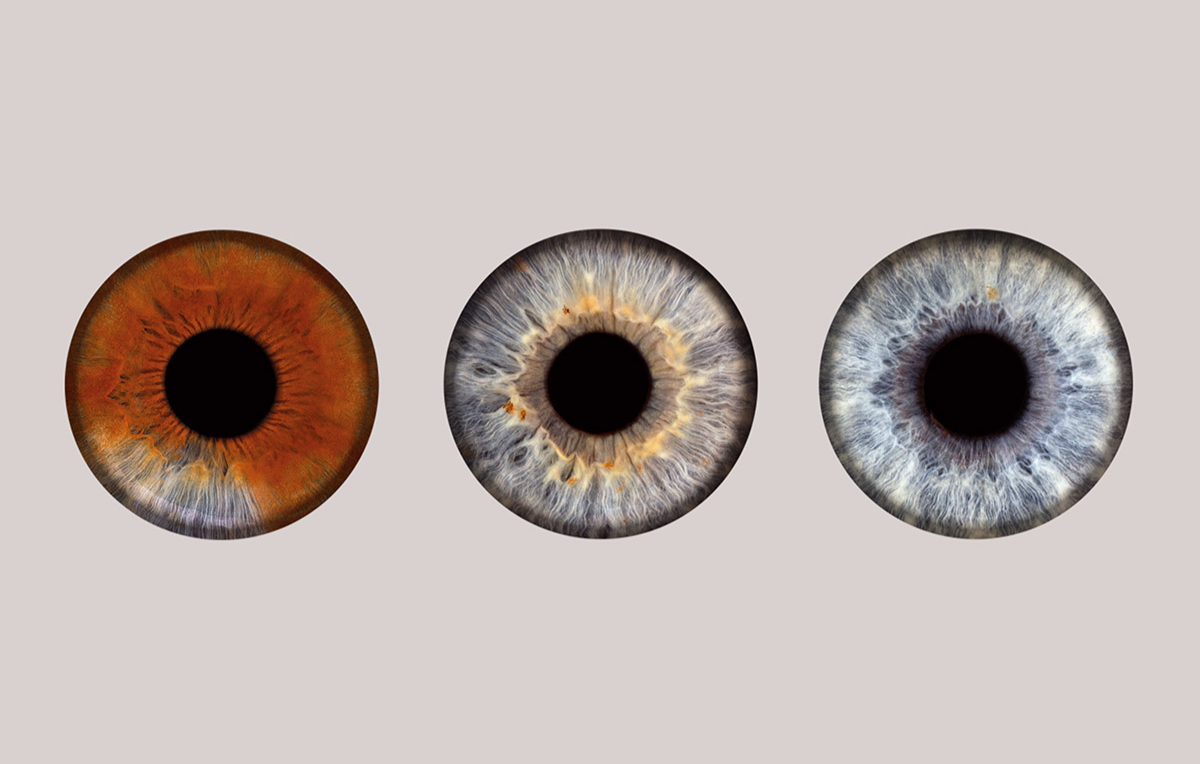 Iris Fotoshooting Bielefeld -  in Ca. 5 Minuten (Gesamtdauer: ca. 15 Minuten)