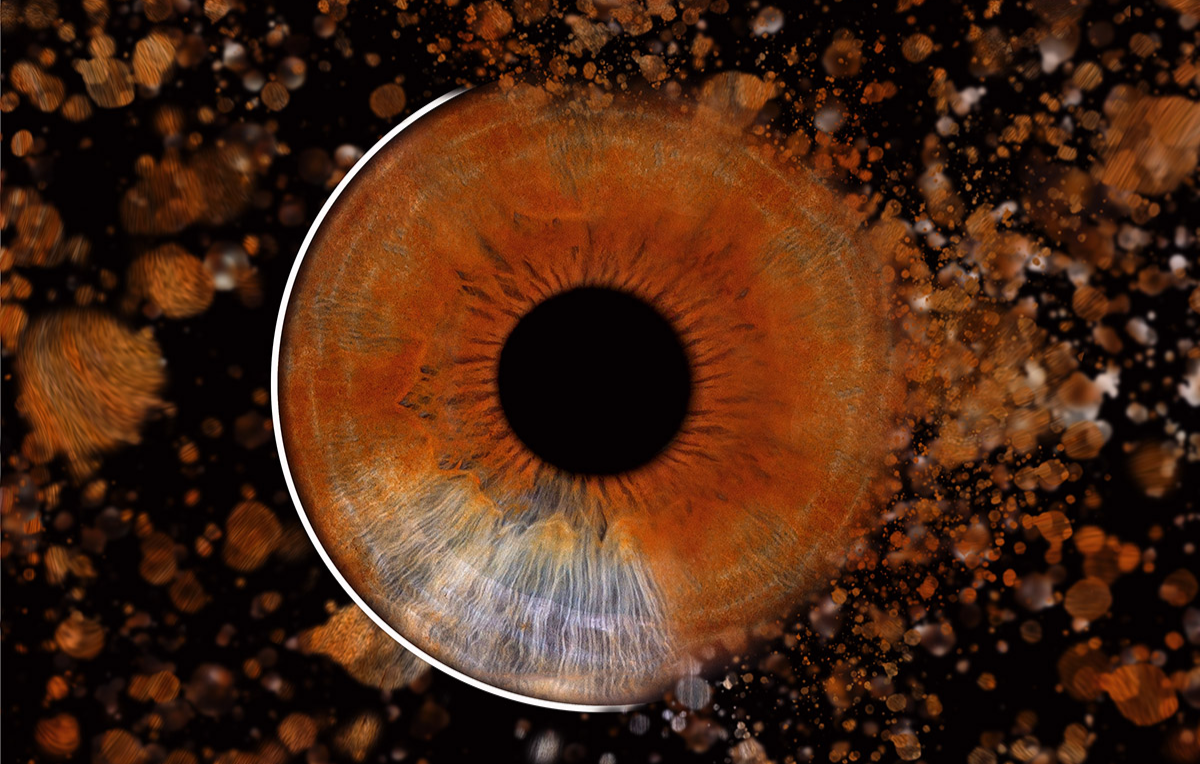 Iris Fotoshooting Hürth -  in Ca. 5 Minuten (Gesamtdauer: ca. 15 Minuten)