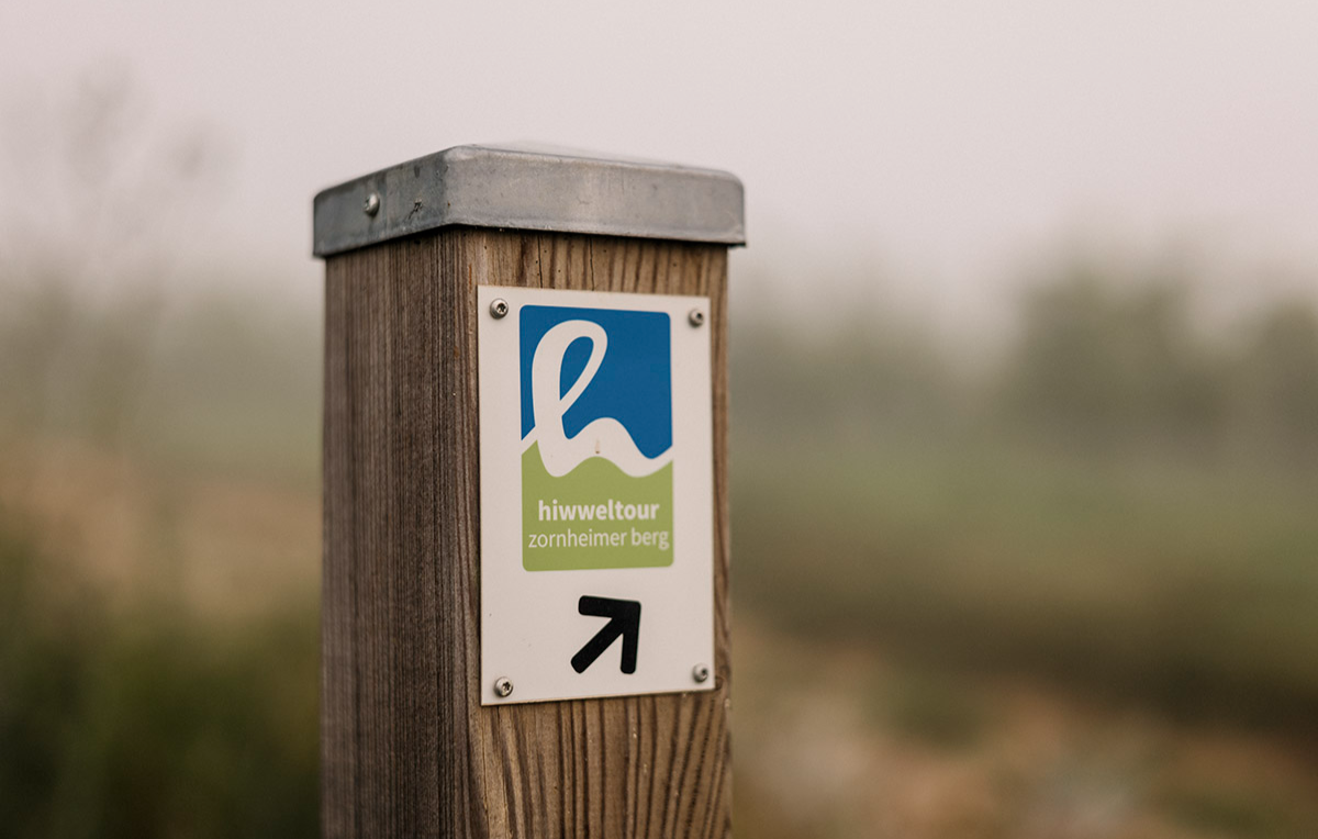 2 Tag(e) Genusswandern in Rheinhessen Mommenheim für 2 (1 Nacht) inkl. Frühstück 2 Tag(e) Genusswandern in Rheinhessen Mommenheim für 2 (1 Nacht) inkl. Frühstück