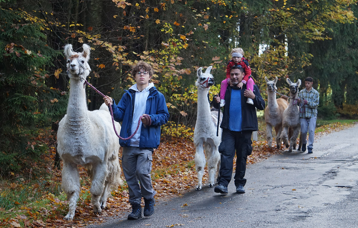 Lama Trekking Bärnau Lama Trekking Bärnau