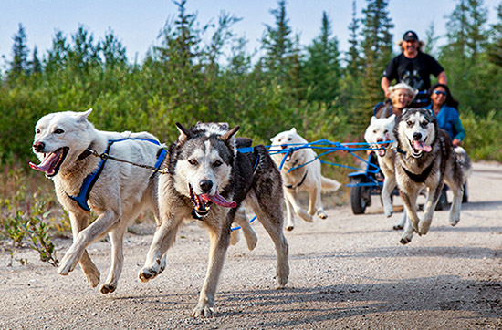 Finnland Actionreise für 2 (4 ...