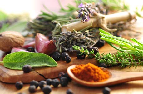 Gewürz-, Kräuter- und Ölseminar mit Kochkurs in Wien