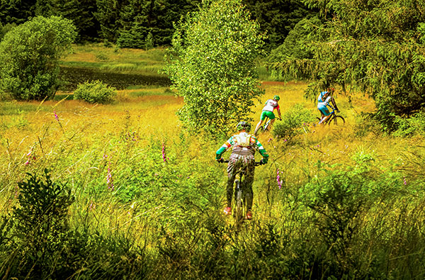 E Bike Tour Clausthal Zellerfeld (4 Std.) - Elektrisierend! Mit dem E-MTB offroad durch den Harz! in Clausthal-Zellerfeld E Bike Tour Clausthal Zellerfeld (4 Std.) - Elektrisierend! Mit dem E-MTB offroad durch den Harz! in Clausthal-Zellerfeld