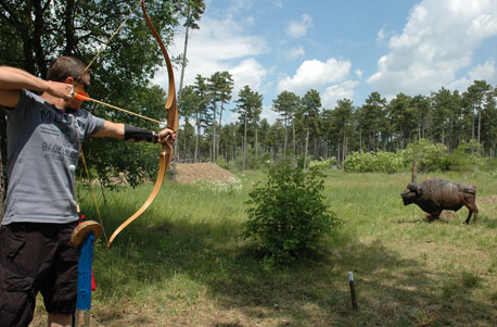 Action-Tag im Outdoorpark bei Wien 