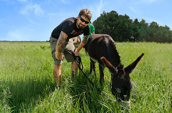 Esel-Trekking-Tagestour im Wal...