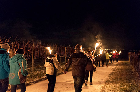 Fackelwanderung & romantisches Käsefondue im Weinberg für 2