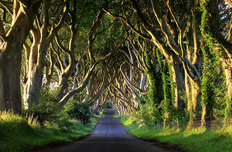 Game of Thrones Reise Nordirla...