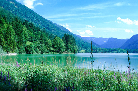 Kurzurlaub am Hintersee im Sal...
