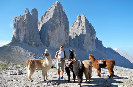 Lama Trekking mit Übernachtung in den Drei Zinnen