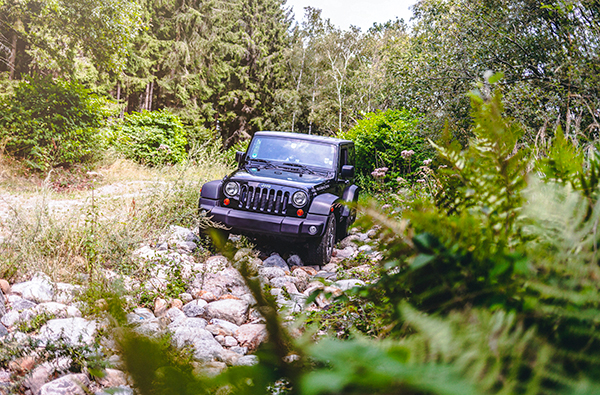 PKW Offroad Training Olpe (8 S...