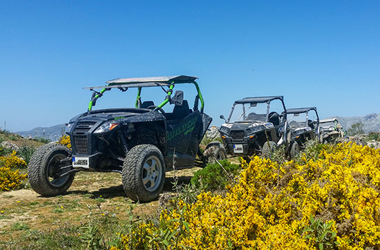 Quad Side by Side Einsteigertour im Schwarzwald - Der ideale Mix für doppeltes Fahrvergnügen! in Meißenheim Quad Side by Side Einsteigertour im Schwarzwald - Der ideale Mix für doppeltes Fahrvergnügen! in Meißenheim