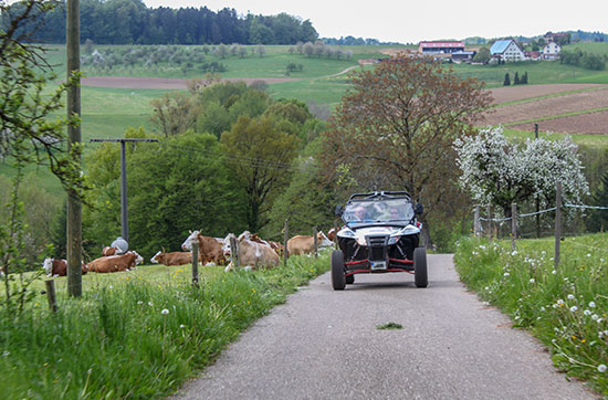 Quad Side by Side Einsteigertour im Schwarzwald in Meißenheim