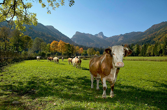 Thermen-Kurzurlaub Raum Chiemgau