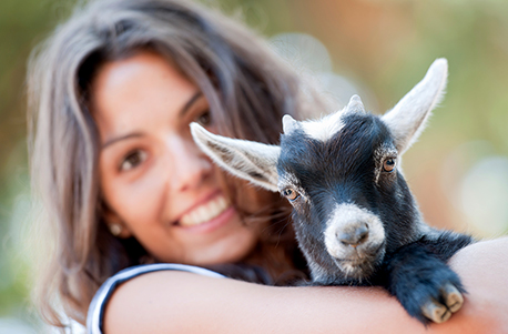 Tierpfleger für einen Tag